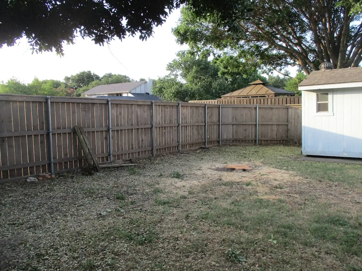 Cleared yard after professional tree removal in Lincoln